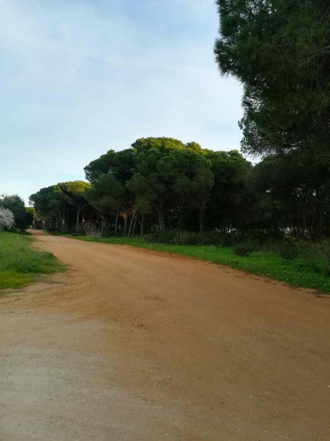 Quinta Das Palmeiras Quarteira Εξωτερικό φωτογραφία